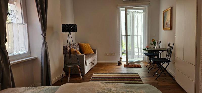 Riva Residence in Old Town Ljubljana by the Cobblers' Bridge - image 12