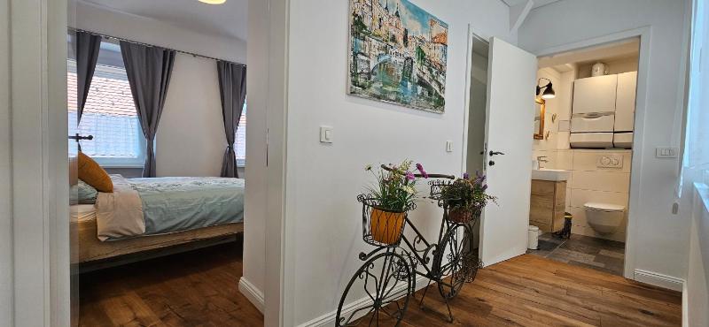 Riva Residence in Old Town Ljubljana by the Cobblers' Bridge - image 13