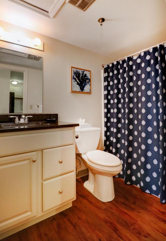One-Bedroom Apartment image 2