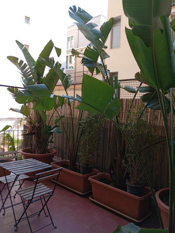 Maison Debora With Parking - Large Apartment for Friends and Families - image 14