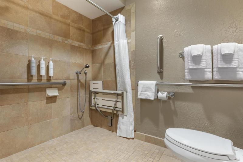 One-Bedroom King Suite with Roll-In Shower - Hearing Accessible image 3