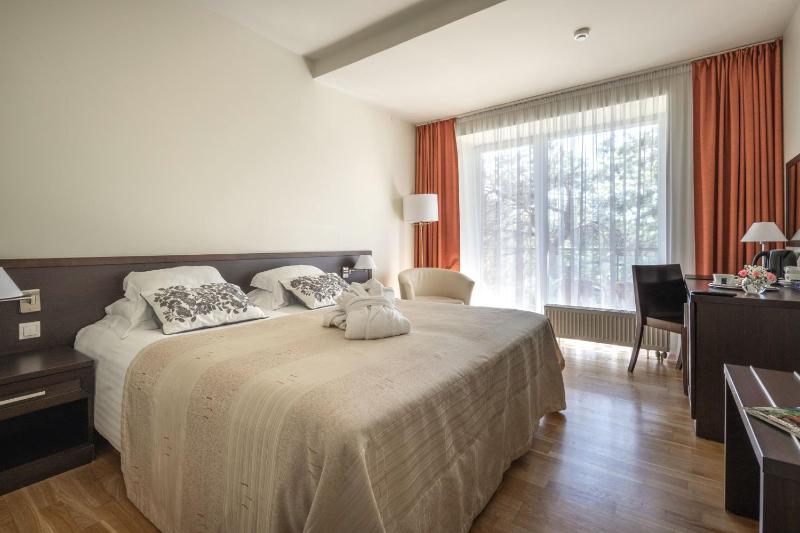 Superior Double Room image 1