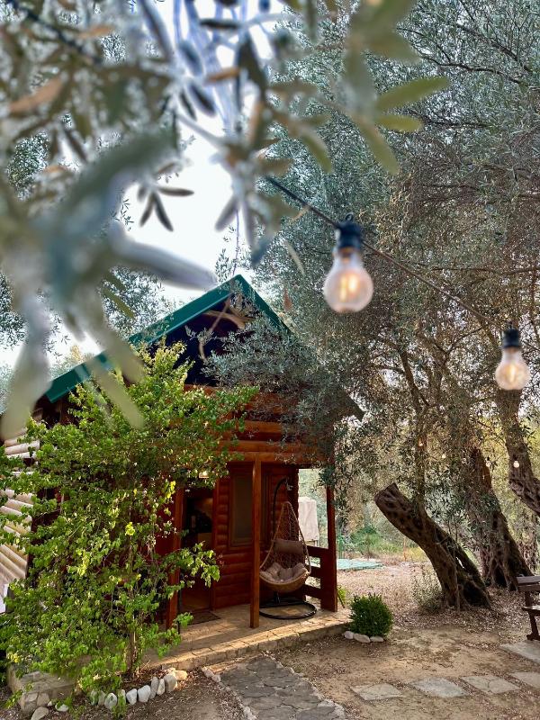 Green Heaven Cottage - image 15