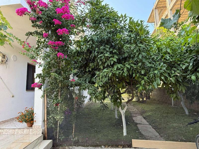 Guest House Tirana - image 1