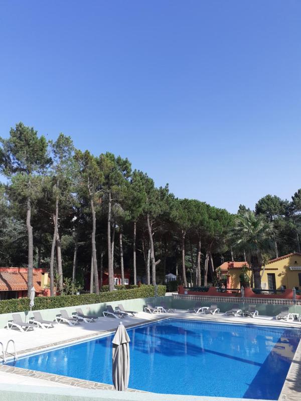 Domaine Des Mimosas - image 21
