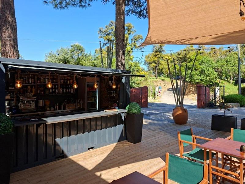 Domaine Des Mimosas - image 16