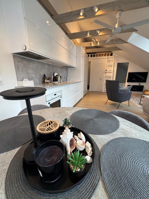 Arunes Apartments - Daukanto - image 34