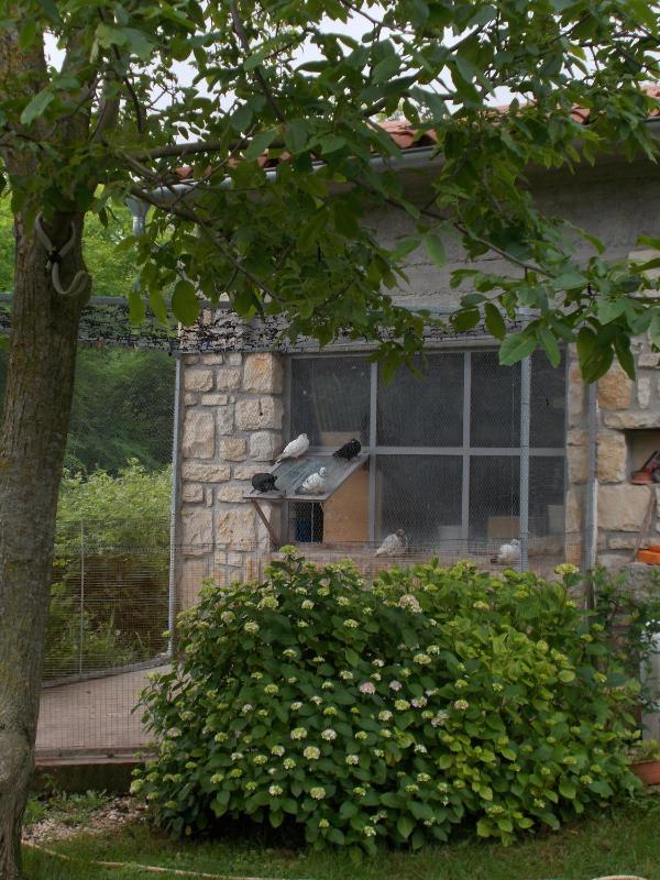 Apartments Sara - image 13