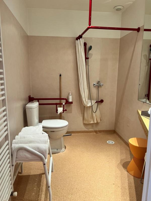 Hôtel Le Bois Joli - image 2