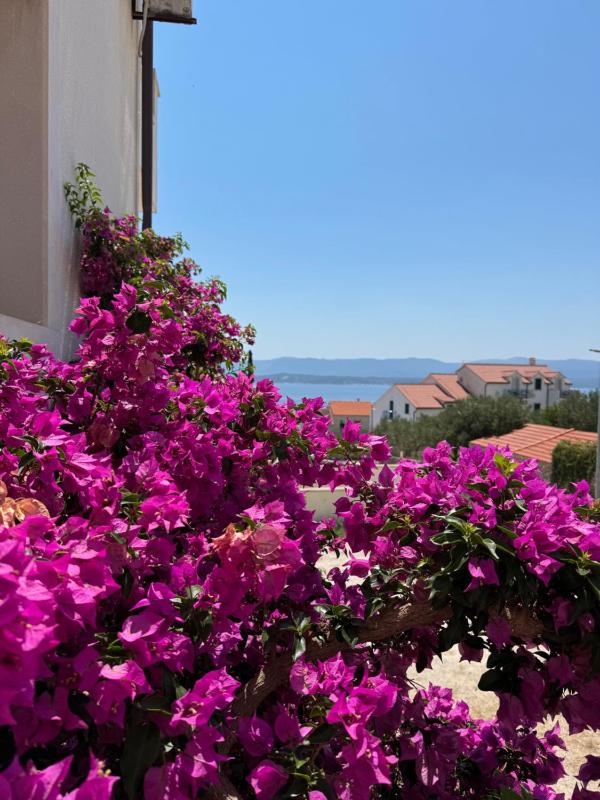 Vespera Apartments - image 9