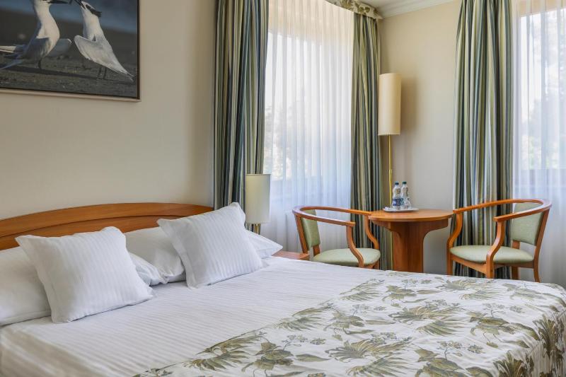 Single Room image 1