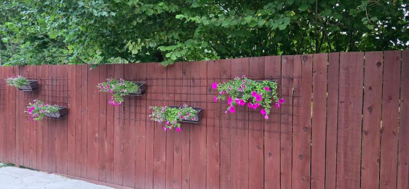 Holiday Home image 3