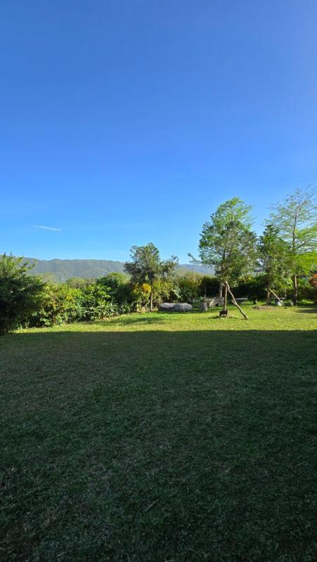 Snail B&B - image 36