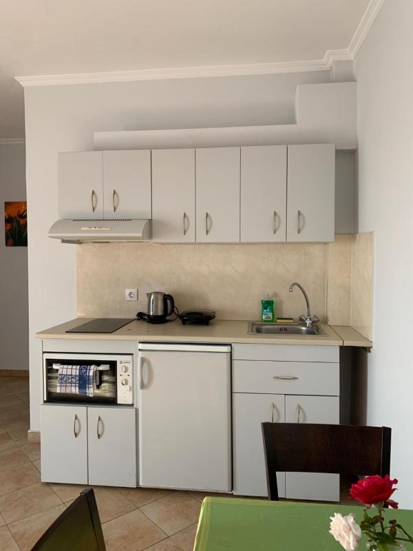 Large One-Bedroom Apartment image 4