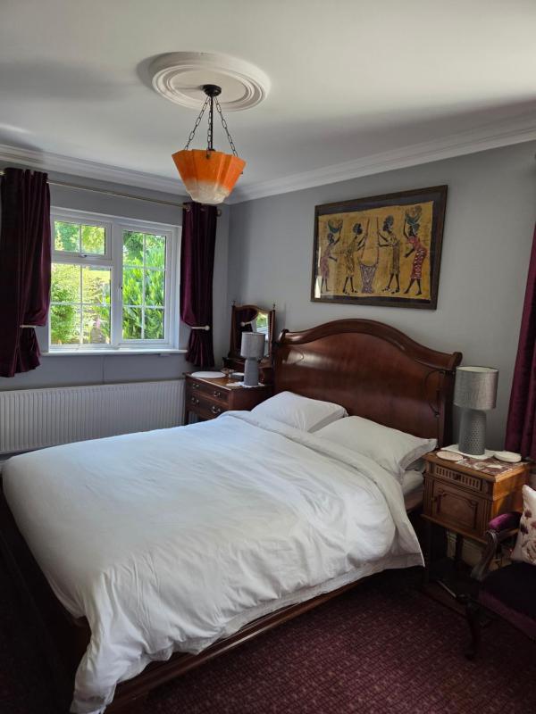 Deluxe Double Room with Shower image 1