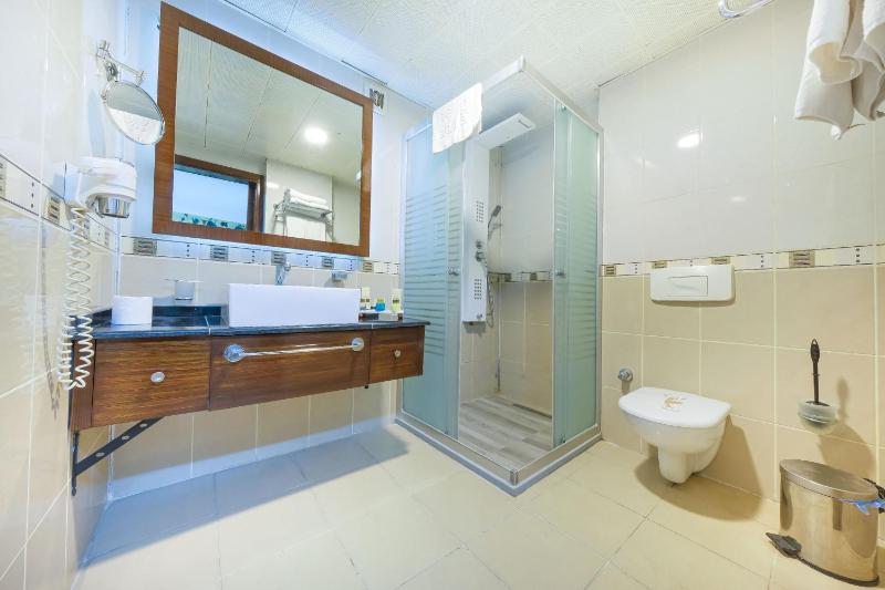 Standard Double or Twin Room image 2