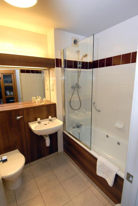 Superior Twin Room image 4