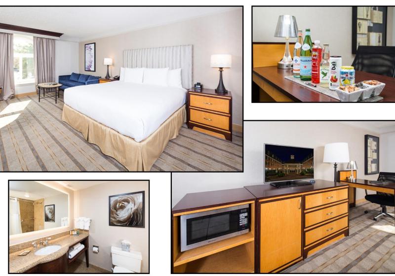 Deluxe King Room image 1