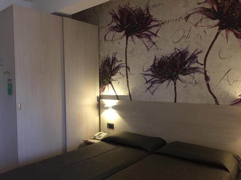 Double or Twin Room image 1