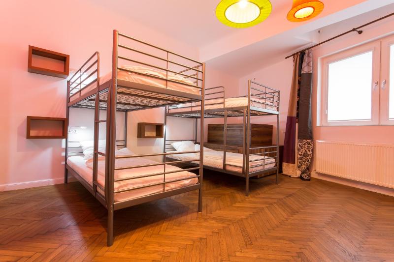Bunk Bed in Eight Bed Dormitory Room image 2