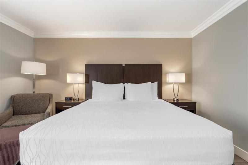 Best Western Plus LA Mid-Town Hotel - image 6