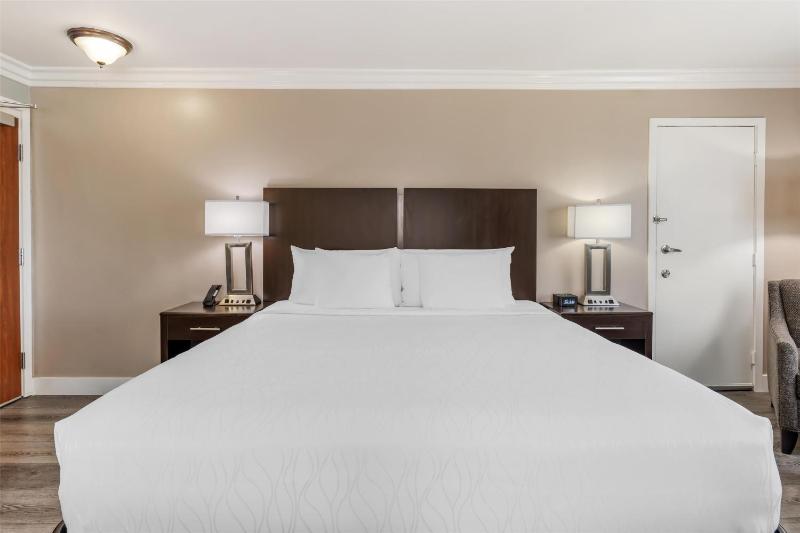 Best Western Plus LA Mid-Town Hotel - image 9