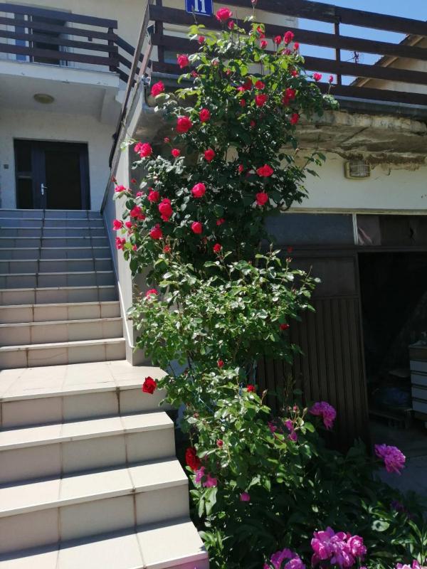Apartmani Sokobanja Alexandar - image 6