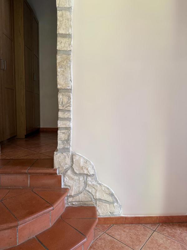 Apartment image 1