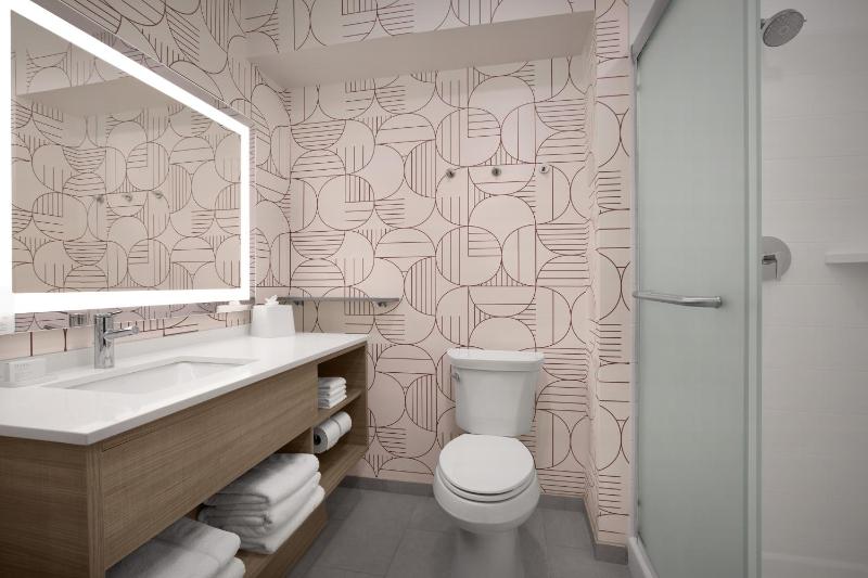 King Studio Suite image 2