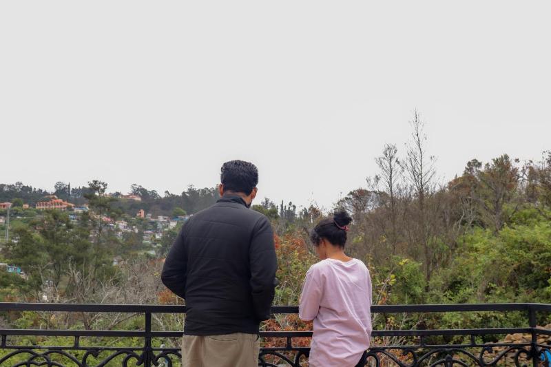 Willostays Snowmanor kodaikanal - image 29