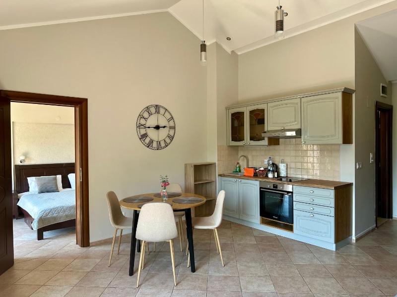One-Bedroom Apartment with Terrace image 1