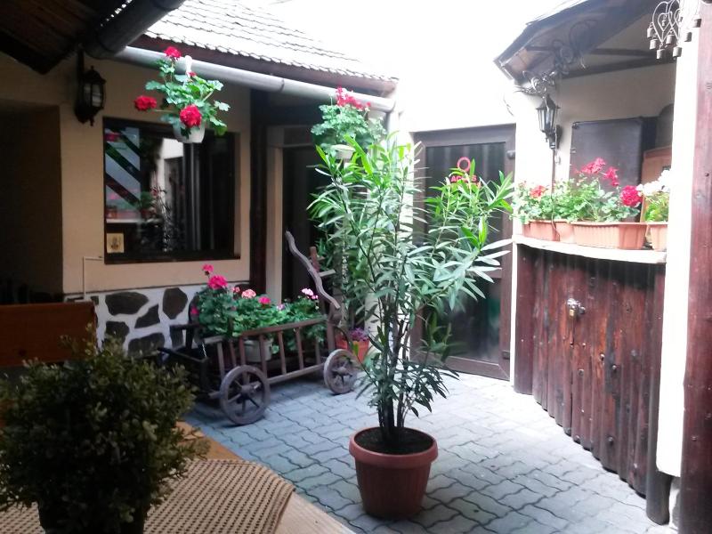 Casa Veche - image 29