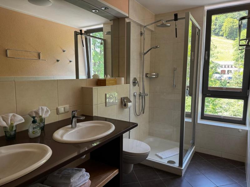One-Bedroom Apartment with Mountain View (4 Adults)  image 4
