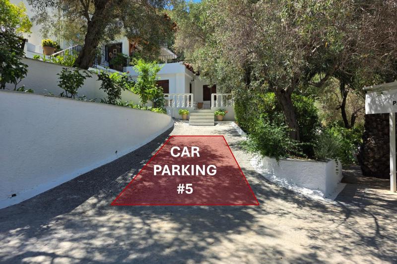 Olive Grove Studios - image 22