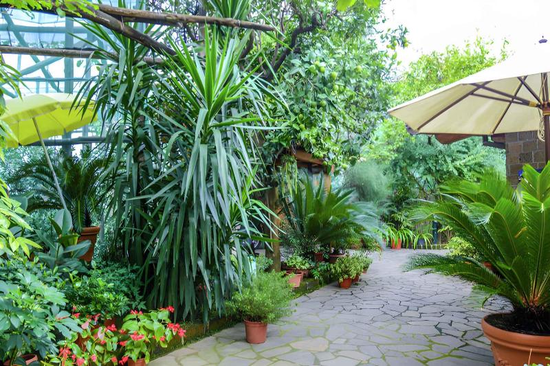 Apartment Sorrento 1 - image 1