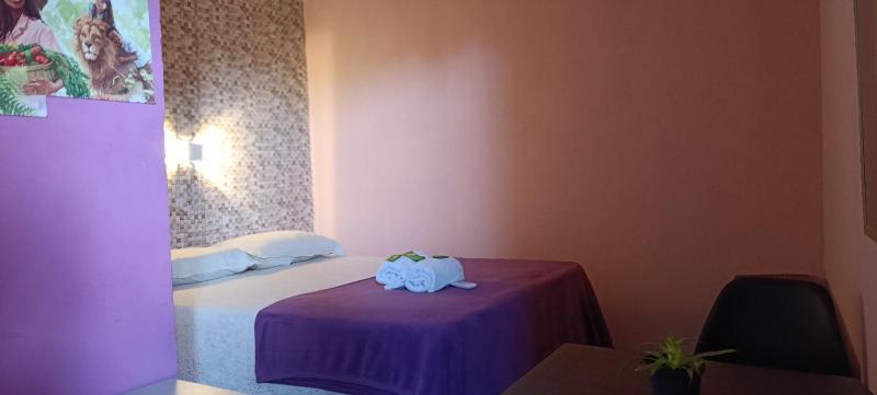 Pousada - Casa dos Paiva - image 11