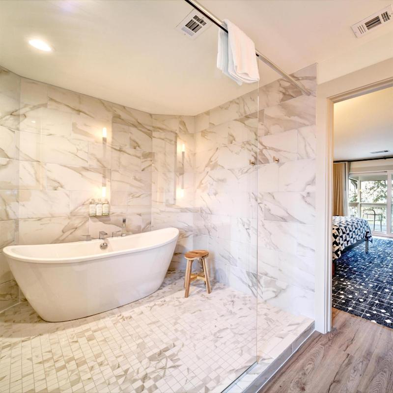 One-Bedroom Premium King Suite image 2