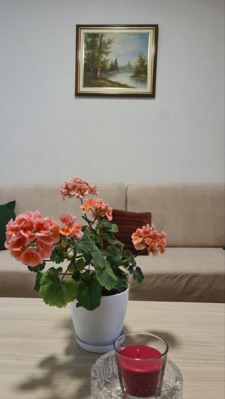 Vila Marija - image 9