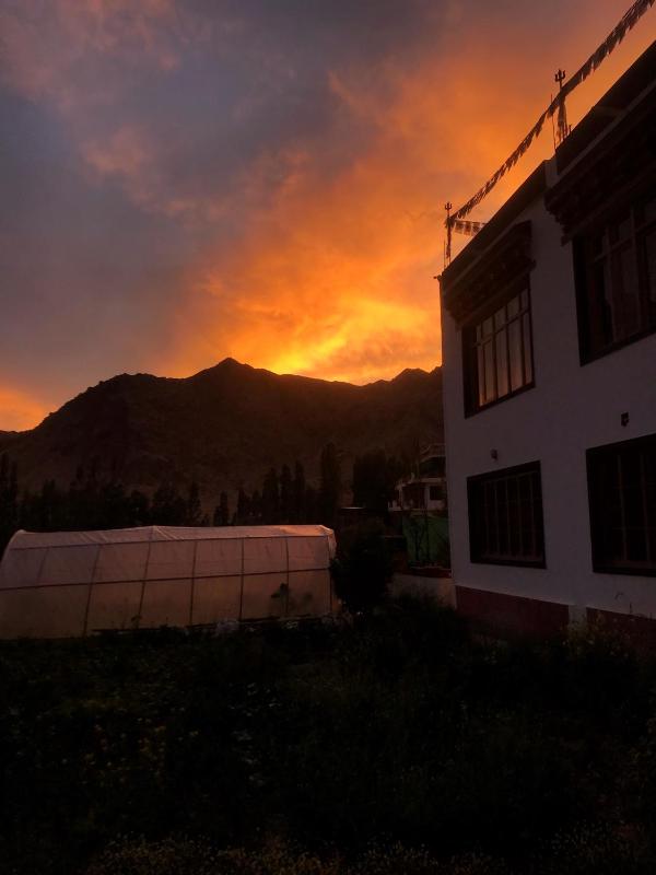 Sponbo Guest House Leh - image 3