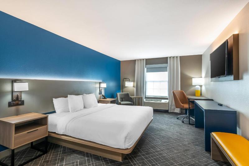 King Room - Non-Smoking image 1