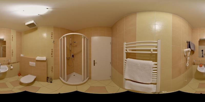 Single Room image 4