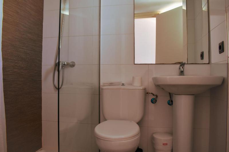 One-Bedroom Apartment image 4