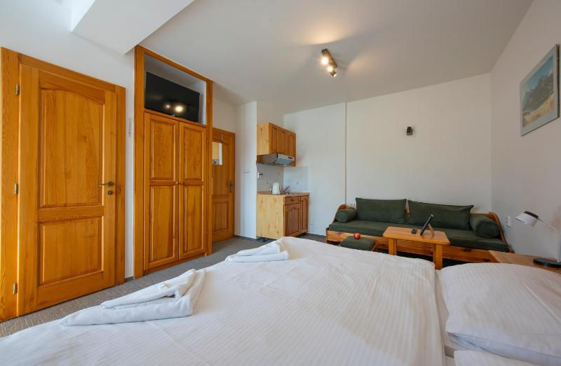 Studio with Sofa Bed image 1