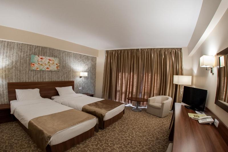 Deluxe Twin Room Non Smoking image 3