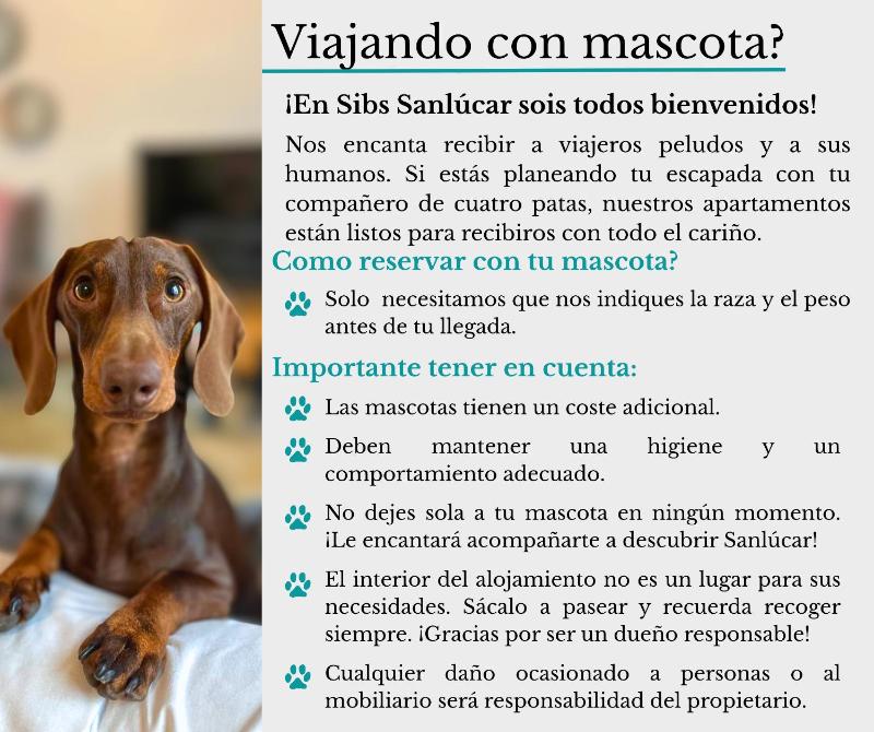 SIBS Sanlúcar Guadalquivir 2 Coqueto Ideal Parejas - image 14