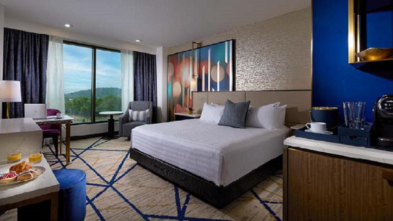 Deluxe King Room image 3