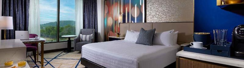 Deluxe King Room image 1