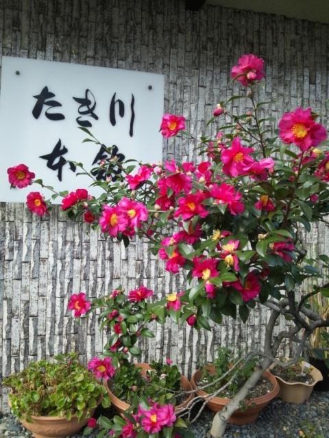 Takigawa Ryokan - image 4
