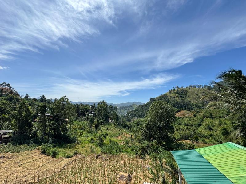 New Farmers Paradise - image 16