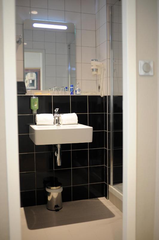 Hotel Albert 1er - image 7